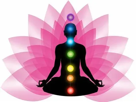 Silhouette d'une personne en méditation avec des chakras colorés, entourée de pétales de lotus.